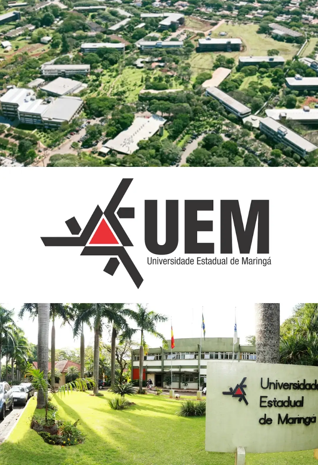 Universidade Estadual de Maringá - UEM
